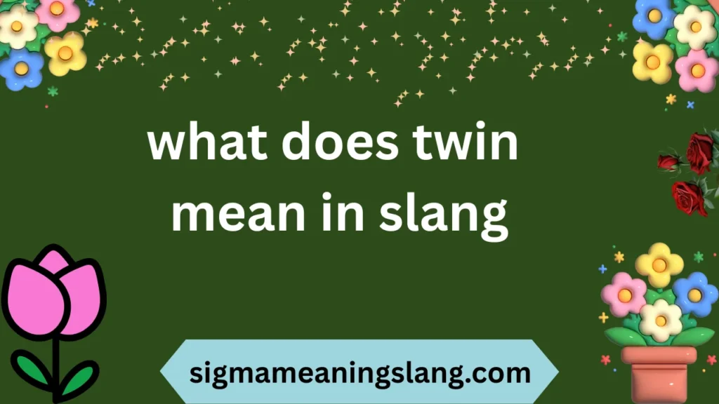 what does twin mean in slang