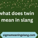 what does twin mean in slang