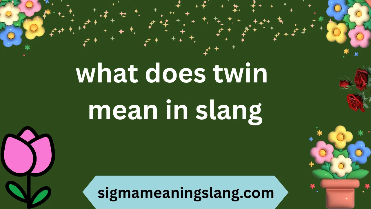 what does twin mean in slang