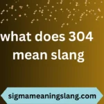 what does 304 mean slang