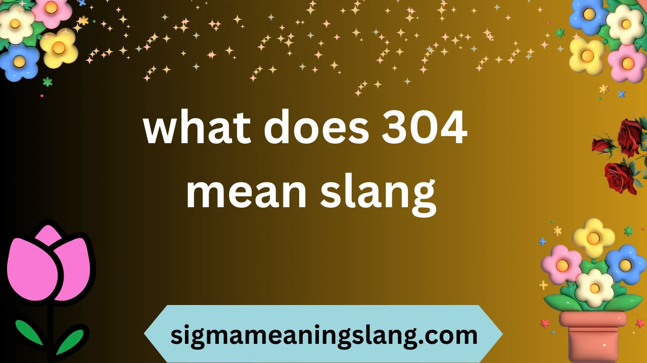 what does 304 mean slang