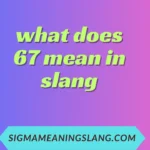 what does 67 mean in slang
