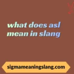 what does asl mean in slang