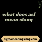 what does asl mean slang