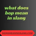 what does bop mean in slang