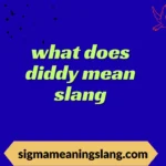 what does diddy mean slang