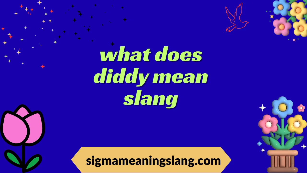 what does diddy mean slang