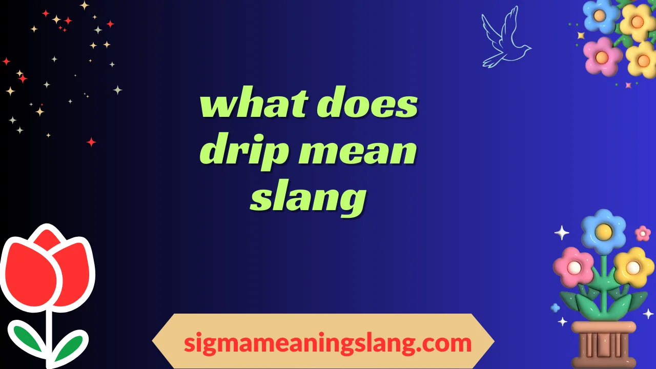 what does drip mean slang