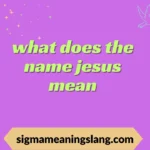 what does dtf mean in slang