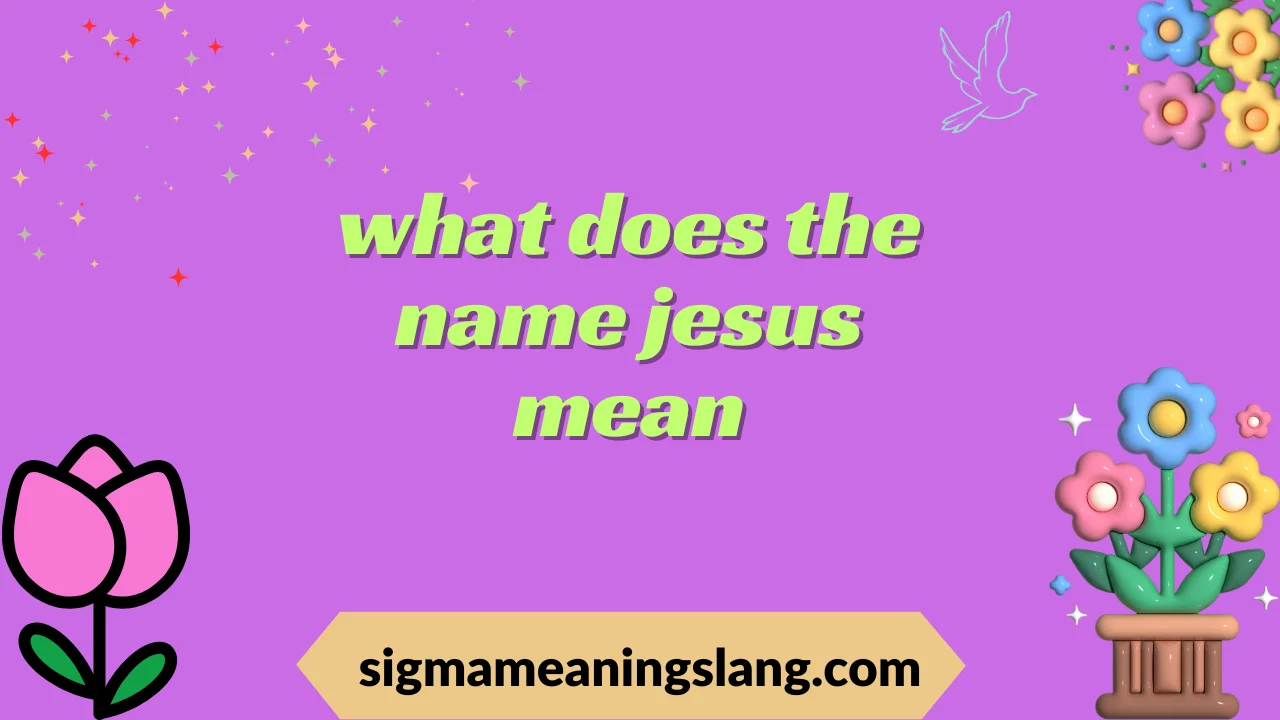 what does dtf mean in slang