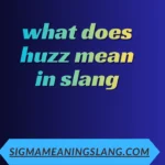 what does huzz mean in slang