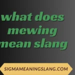 what does mewing mean slang