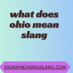 what does ohio mean slang