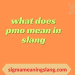 what does pmo mean in slang