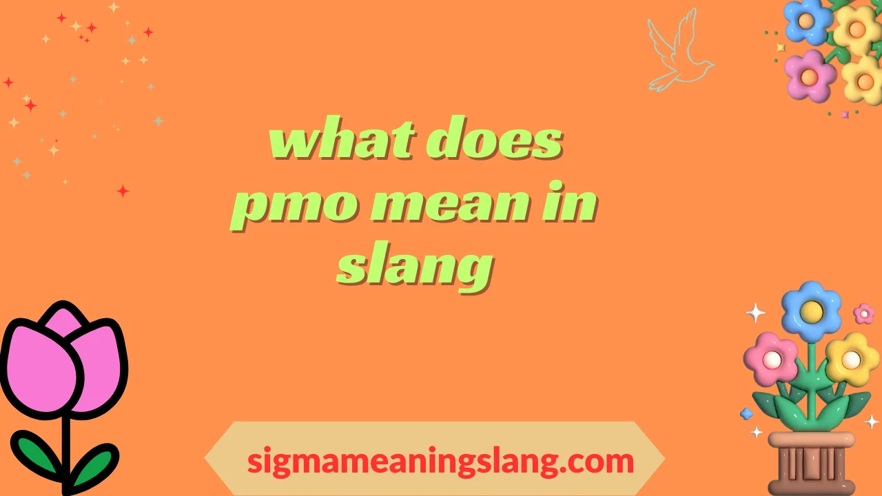 what does pmo mean in slang