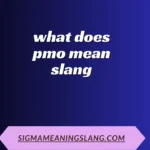 what does pmo mean slang