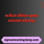 what does pos mean slang