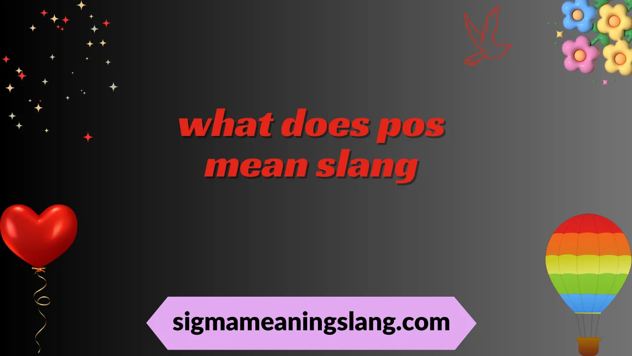 what does pos mean slang