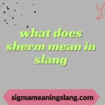 what does sherm mean in slang