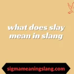 what does slay mean in slang