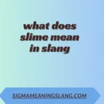 what does slime mean in slang