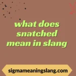 what does snatched mean in slang