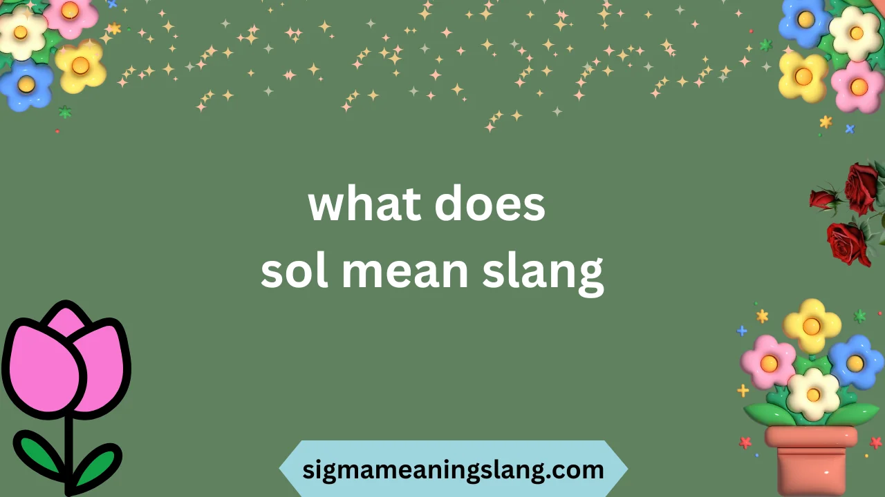 what does sol mean slang