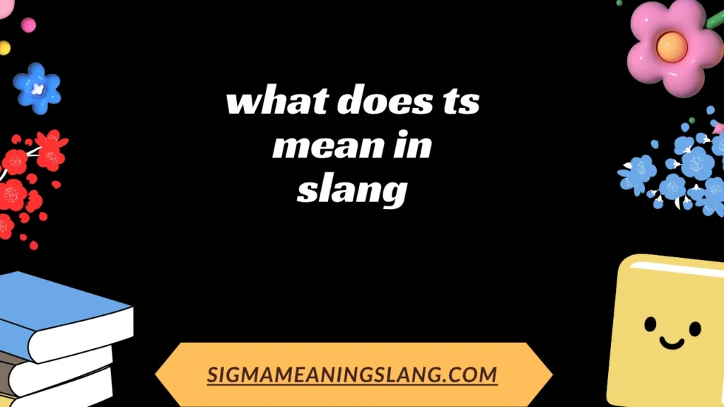 what does ts mean in slang
