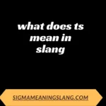 what does ts mean in slang