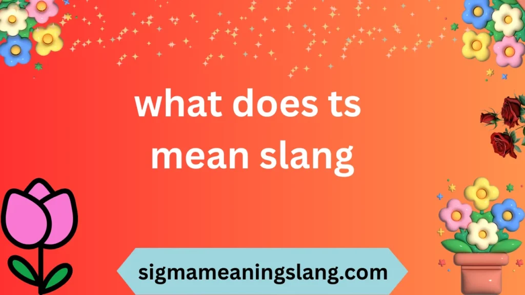 what does ts mean slang