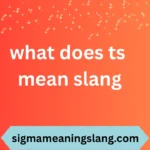 what does ts mean slang