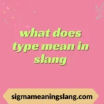 what does type mean in slang