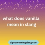 what does vanilla mean in slang