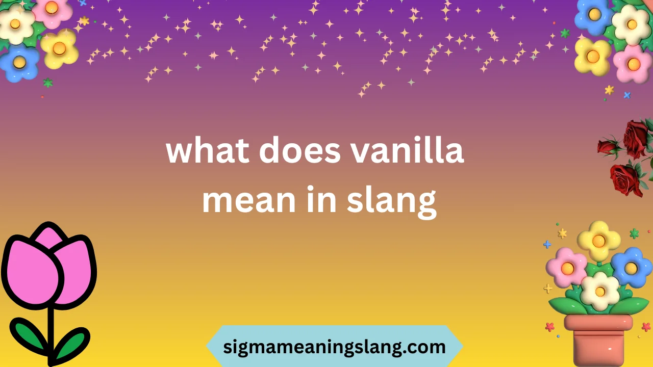 what does vanilla mean in slang