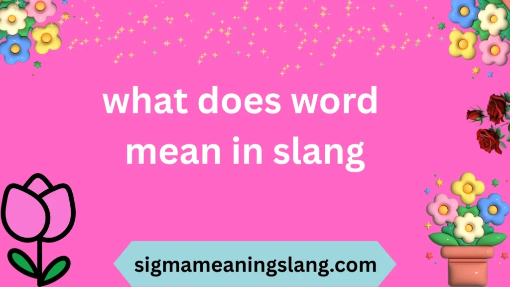 what does word mean in slang