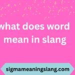 what does word mean in slang