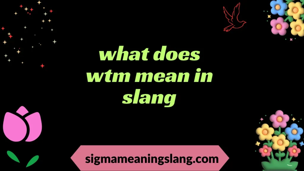 what does wtm mean in slang
