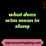 what does wtm mean in slang