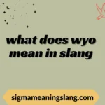 what does wyo mean in slang
