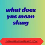 what does yns mean slang