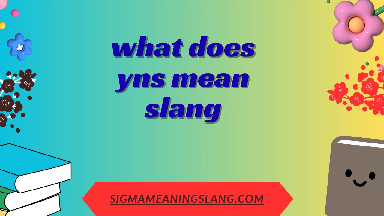 what does yns mean slang