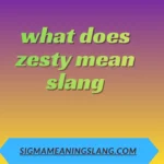 what does zesty mean slang