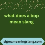 what does a bop mean slang