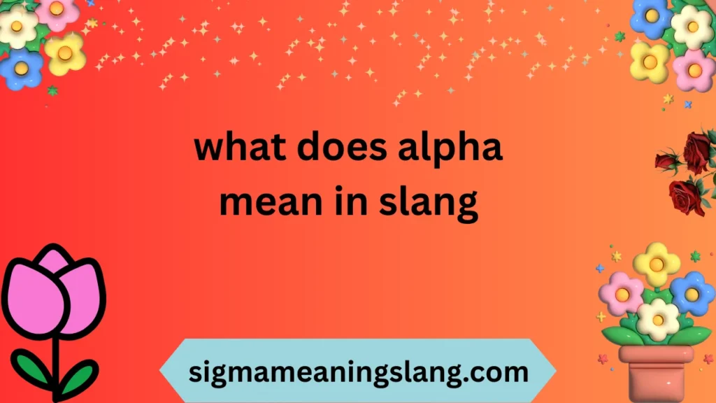 what does alpha mean in slang