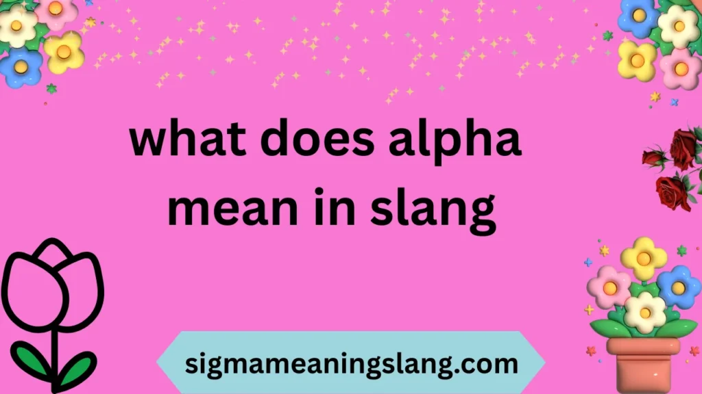 what does alpha mean in slang