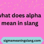what does alpha mean in slang