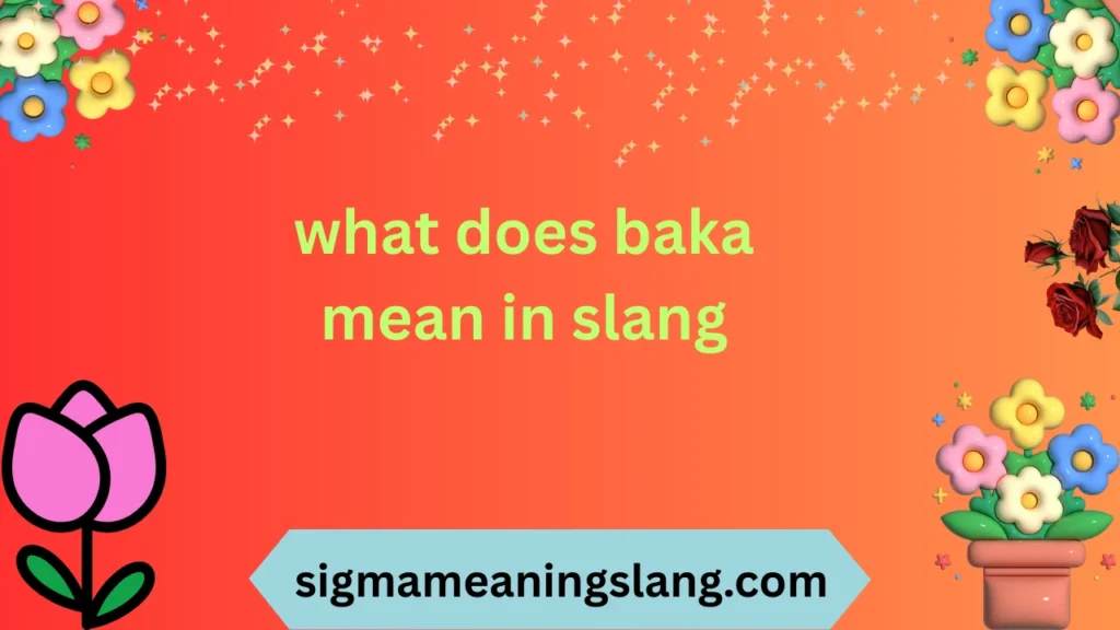 what does baka mean in slang