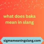 what does baka mean in slang