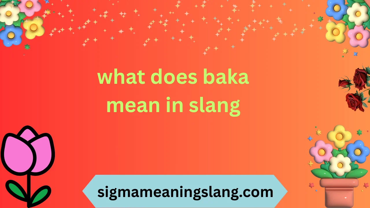 what does baka mean in slang