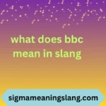 what does bbc mean in slang